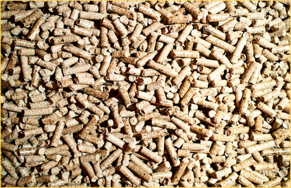 Wood biomass and pellets